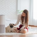 Exploring the Furnace HVAC Air Filter 20x30x4 as the Best Air Filter for Cleaner, Healthier Living Spaces