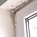 How to Get Rid of Mold in the Air in Your Home - A Comprehensive Guide