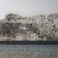 What is the Best Air Filter for Mold? A Comprehensive Guide