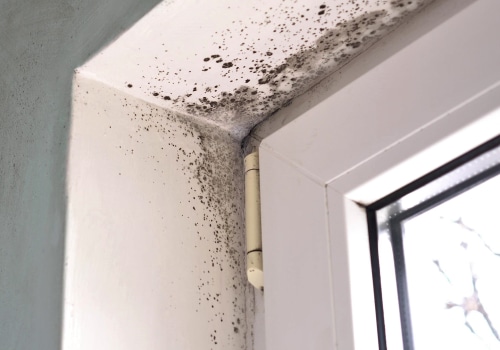 How to Get Rid of Mold in the Air in Your Home - A Comprehensive Guide