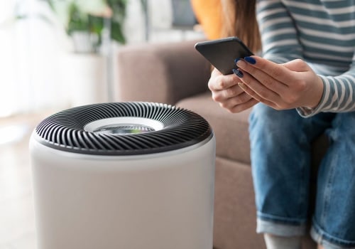 The Ultimate Guide to HEPA Filters and Air Purifiers