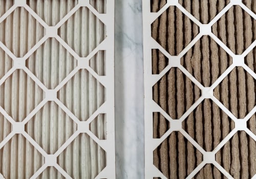 The Best Air Filter for Cedar Pollen: What You Need to Know